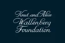 Knut and Alice Wallenbergs Foundation (KAW) logo with navy background and white text.